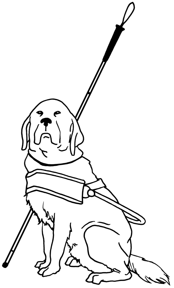 blind guide dog stick